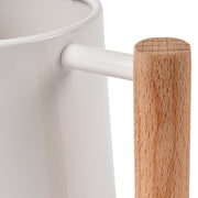Stone Finish Indoor Watering Can