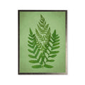 Silver-Frame Botanical Fern Print