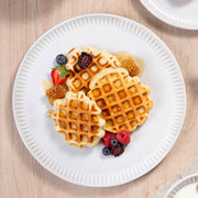 Speckled Ceramic Dinner Plate Set