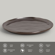 Speckled Ceramic Dinner Plate Set