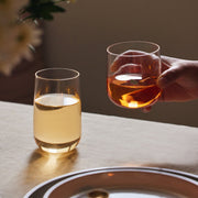 Mouth-Blown Borosilicate Tumbler Set