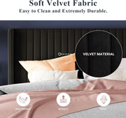 Wingback Velvet Queen Bed Frame
