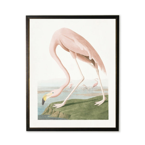 Vintage Flamingo Framed Art Print