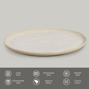 Speckled Ceramic Dinner Plate Set