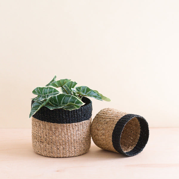 Handwoven Seagrass Catch-All Basket Set