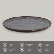 Speckled Ceramic Dinner Plate Set