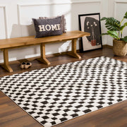 Black & Ivory Checkered Plush Rug