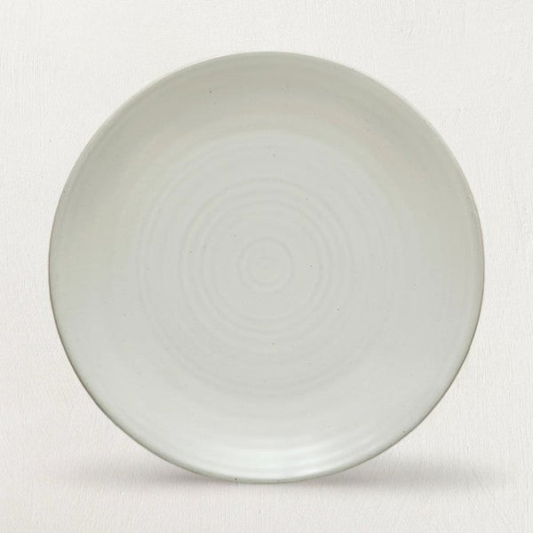 Matte Glaze Stoneware Dinner Plate