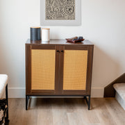 Rattan Door Two-Door Storage Cabinet