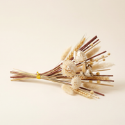 Botanical Reed Diffuser Stick Bundle