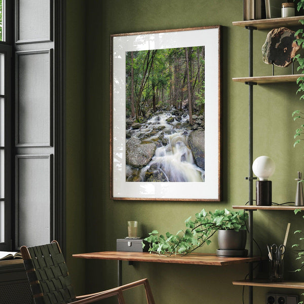Long Exposure Forest Stream Art Print