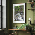 Long Exposure Forest Stream Art Print