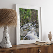 Long Exposure Forest Stream Art Print