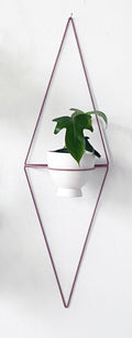 Diamond-Form Wire Wall Planter — Tall diamond wire planter for trailing plants in narrow wall spaces
