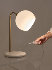 Globe Shade Brass Table Lamp