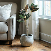 Potted Faux Magnolia Tree