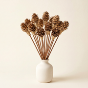 Pinecone-Tipped Rattan Reed Diffuser Sticks