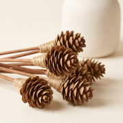 Pinecone-Tipped Rattan Reed Diffuser Sticks