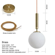Frosted Glass Globe Pendant Light