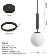 Frosted Glass Globe Pendant Light