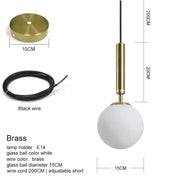 Frosted Glass Globe Pendant Light