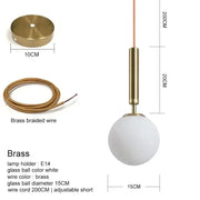 Frosted Glass Globe Pendant Light