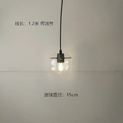 Clear Glass Globe Pendant Light