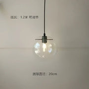 Clear Glass Globe Pendant Light