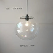 Clear Glass Globe Pendant Light