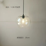 Clear Glass Globe Pendant Light