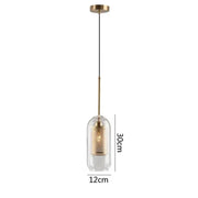 Blown Glass Mesh Pendant Light