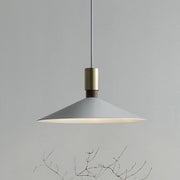Matte Iron Cone Pendant Light