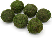 Preserved Moss Decorative Ball Set — back and side profile detail