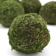 Preserved Moss Decorative Ball Set — scale reference and proportion detail