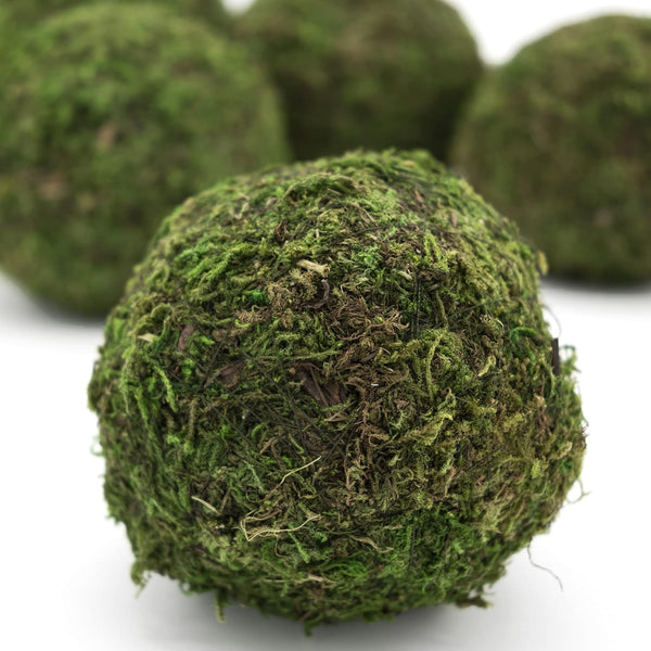 Preserved Moss Decorative Ball Set — scale reference and proportion detail