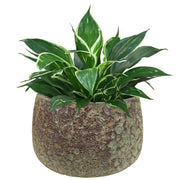 Lava-Glaze Ceramic Round Planter