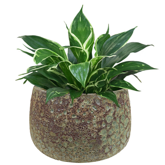Lava-Glaze Ceramic Round Planter