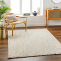 Woven Texture Beige Area Rug