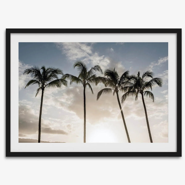 Matte Photographic Palm Tree Print