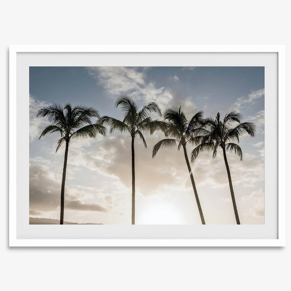 Matte Photographic Palm Tree Print