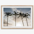 Matte Photographic Palm Tree Print