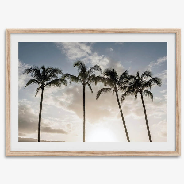 Matte Photographic Palm Tree Print