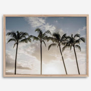 Matte Photographic Palm Tree Print