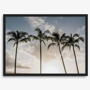 Matte Photographic Palm Tree Print