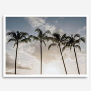 Matte Photographic Palm Tree Print
