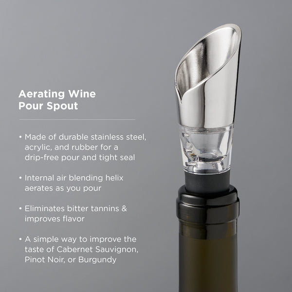 Polished Metal Aerating Wine Pourer