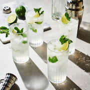 Ribbed Crystal Highball Glass Set