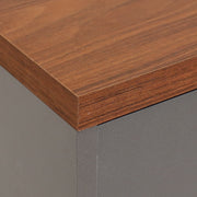 Mid-Century Two-Door Accent Cabinet
