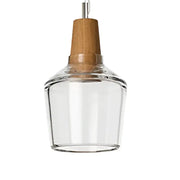 Tinted Glass Wood-Canopy Pendant Light