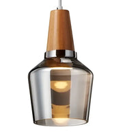 Tinted Glass Wood-Canopy Pendant Light